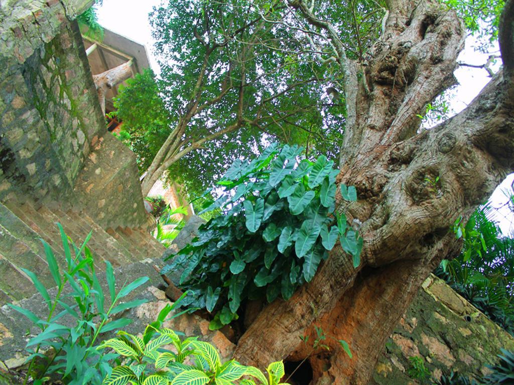 Mount View Hotell Polonnaruwa Eksteriør bilde